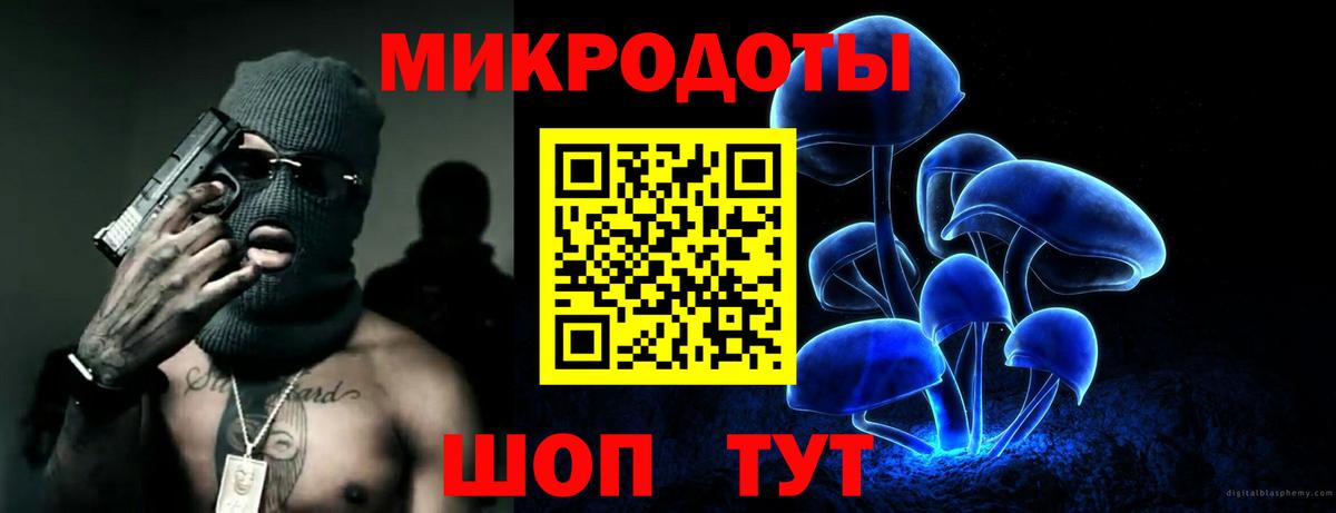 Галлюциногенные грибы Psilocybine cubensis  Вход с VPN  Галлюциногенные грибы прущие грибы  Кашира 